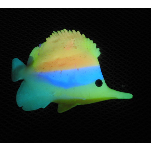 Peixe cor Colorido fosforescente Glowe
